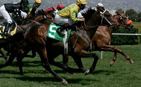 Horses continue dying at Golden Gate Fields racetrack
